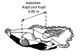 Dancer Dimensions Birds View
