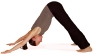 Yoga Hund